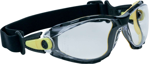 Delta Plus Pacaya Strap Kayışlı Şeffaf Koruyucu Gözlük  