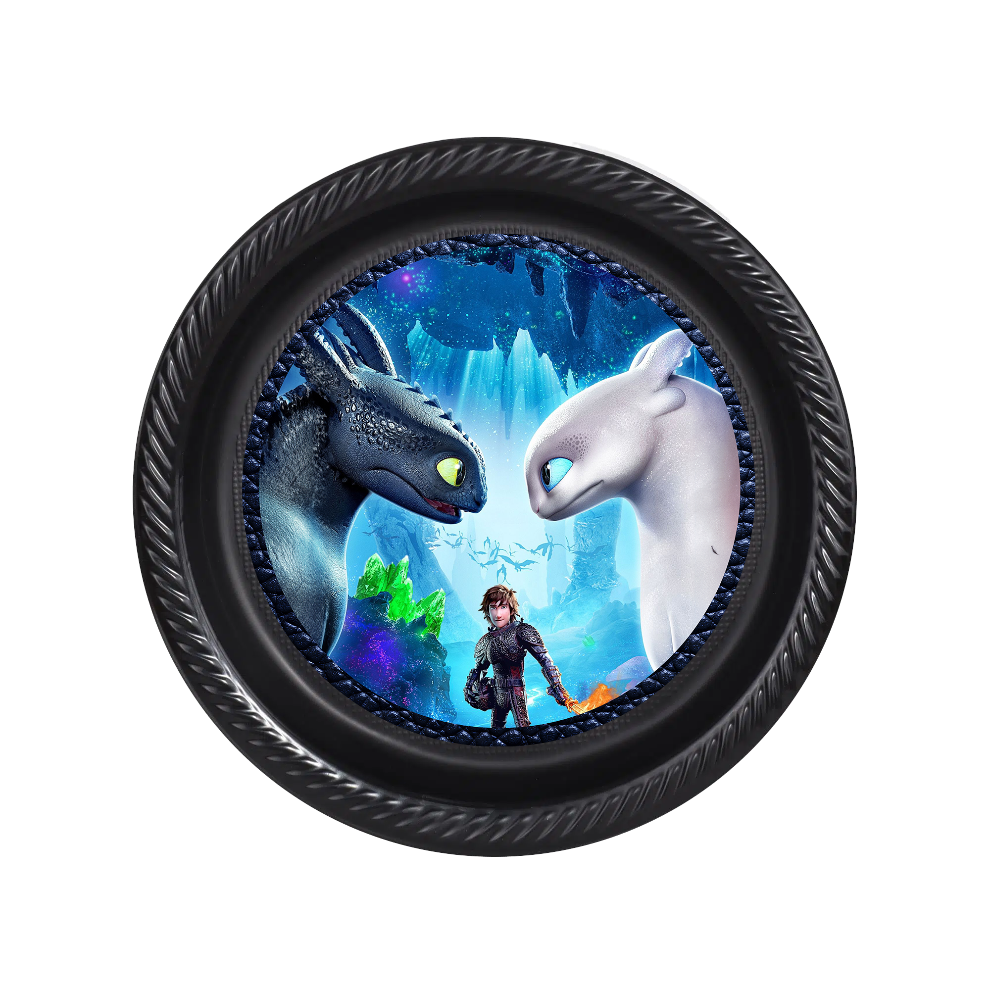 How to Train Your Dragon Temalı Plastik Tabak 5li