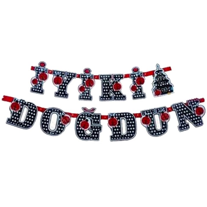Uğur Böceği İyi ki Doğdun Banner