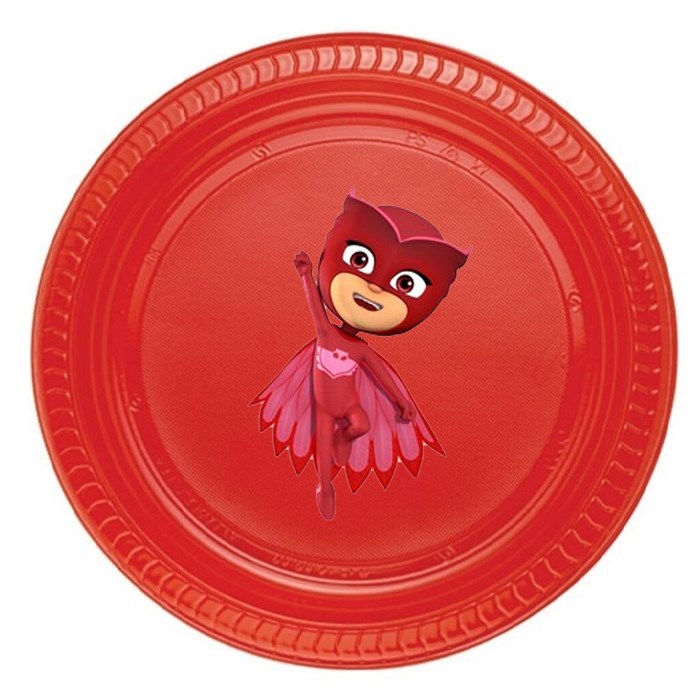 Pj Masks Baykuş Kız Stickerlı Tabak - 5 Adet