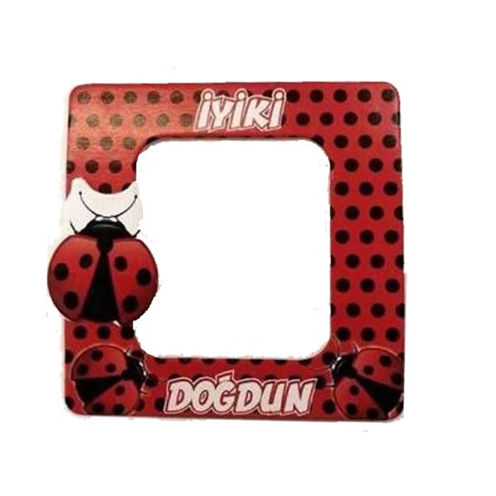 Uğur Böceği Doğum Günü Temalı Magnet Çerçeve 
