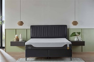 Bellona Petra S Başlık Antrasit Vika 150cm