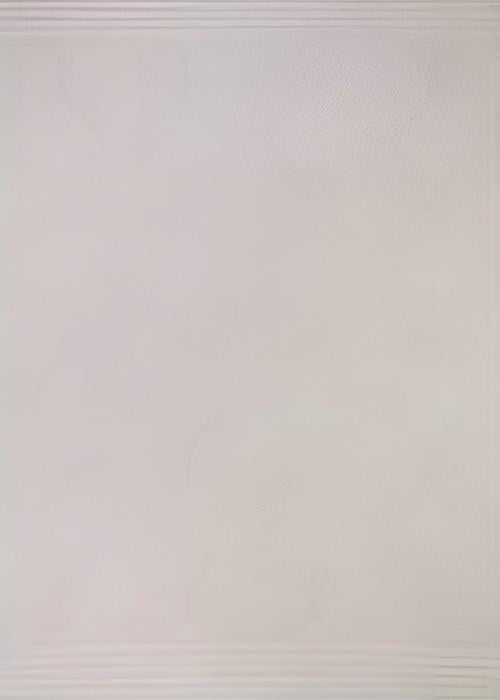 Merison Halı Moon SionHalı