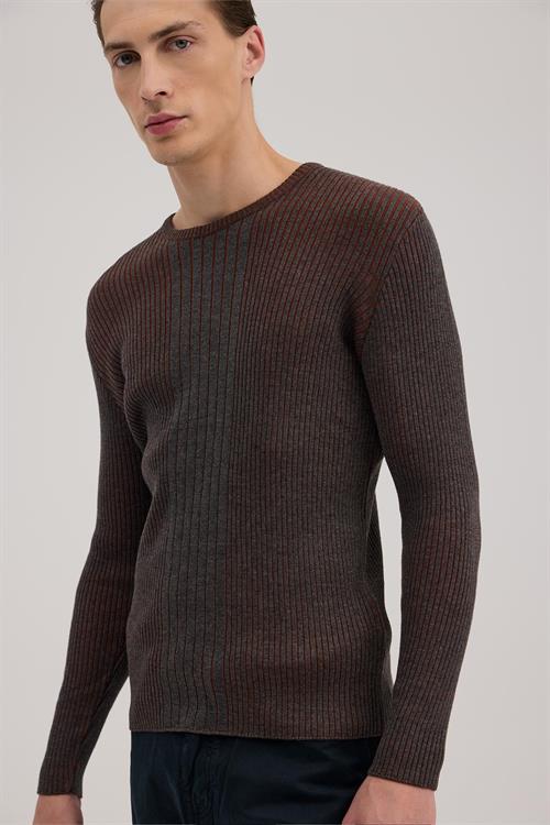 Antrasit Tarçın Slim Fit Desenli Bisiklet Yaka Triko