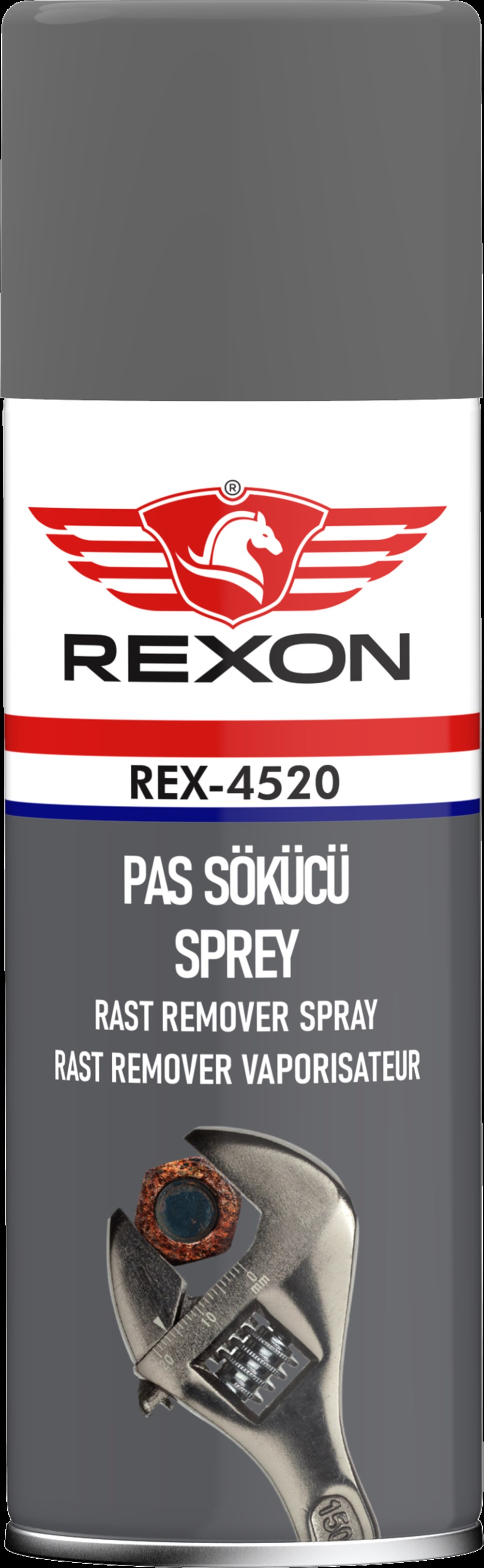 TAMİRCİ-YARDIMCI	PAS SÖKÜCÜ - (REXON 400ML) 