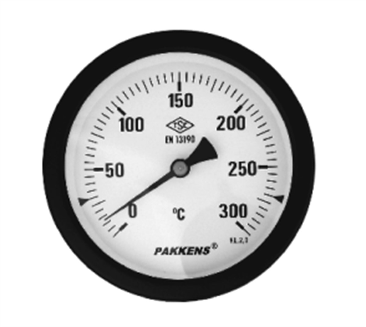 Pakkens Termometre 0-160 °C Çap 160 mm Daldırma Boyu 50 cm Arkadan Bağlantılı G 1/2 inç