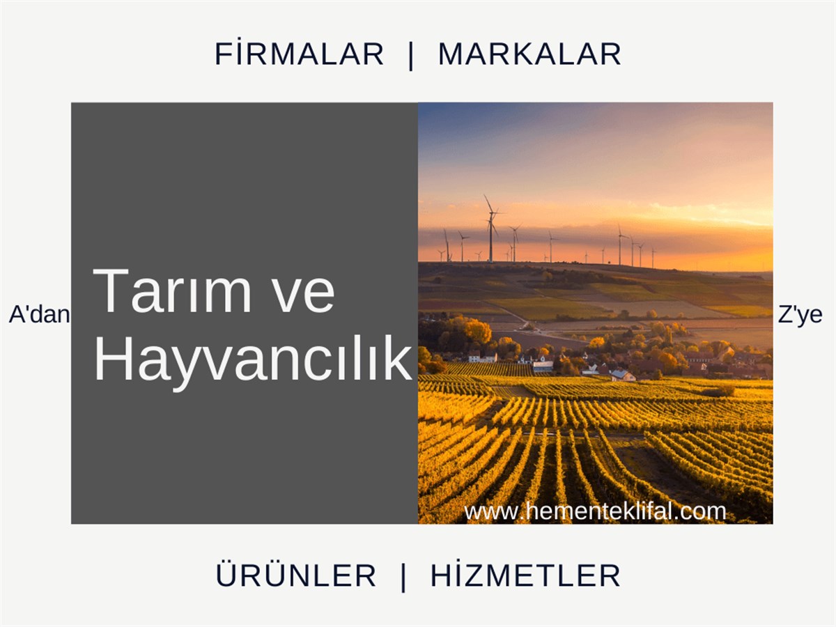 Tarım ve Hayvancılık