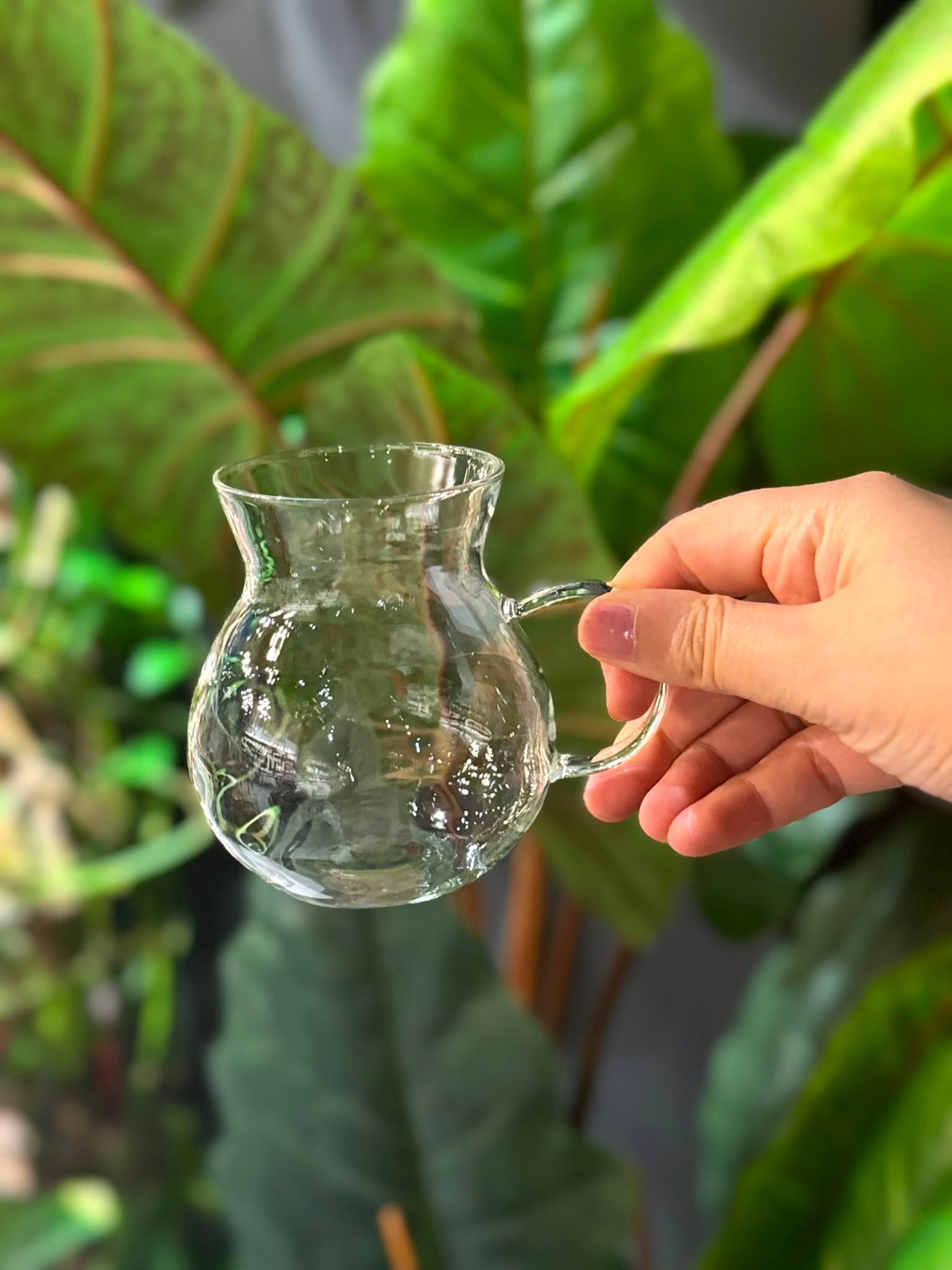 Keyfi Ala Semazen Borosilikat Cam Çay Bardak 6 Lı - 320 ML
