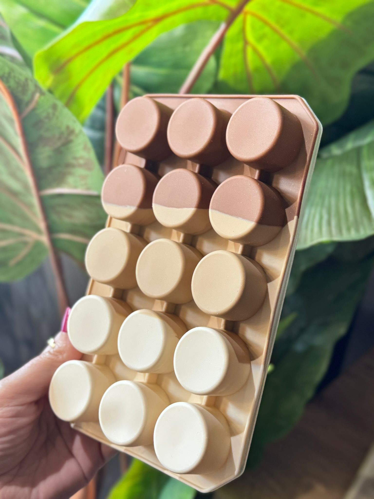 Yuvarlak Şekilli Silikon Çikolata & Buz Kalıbı