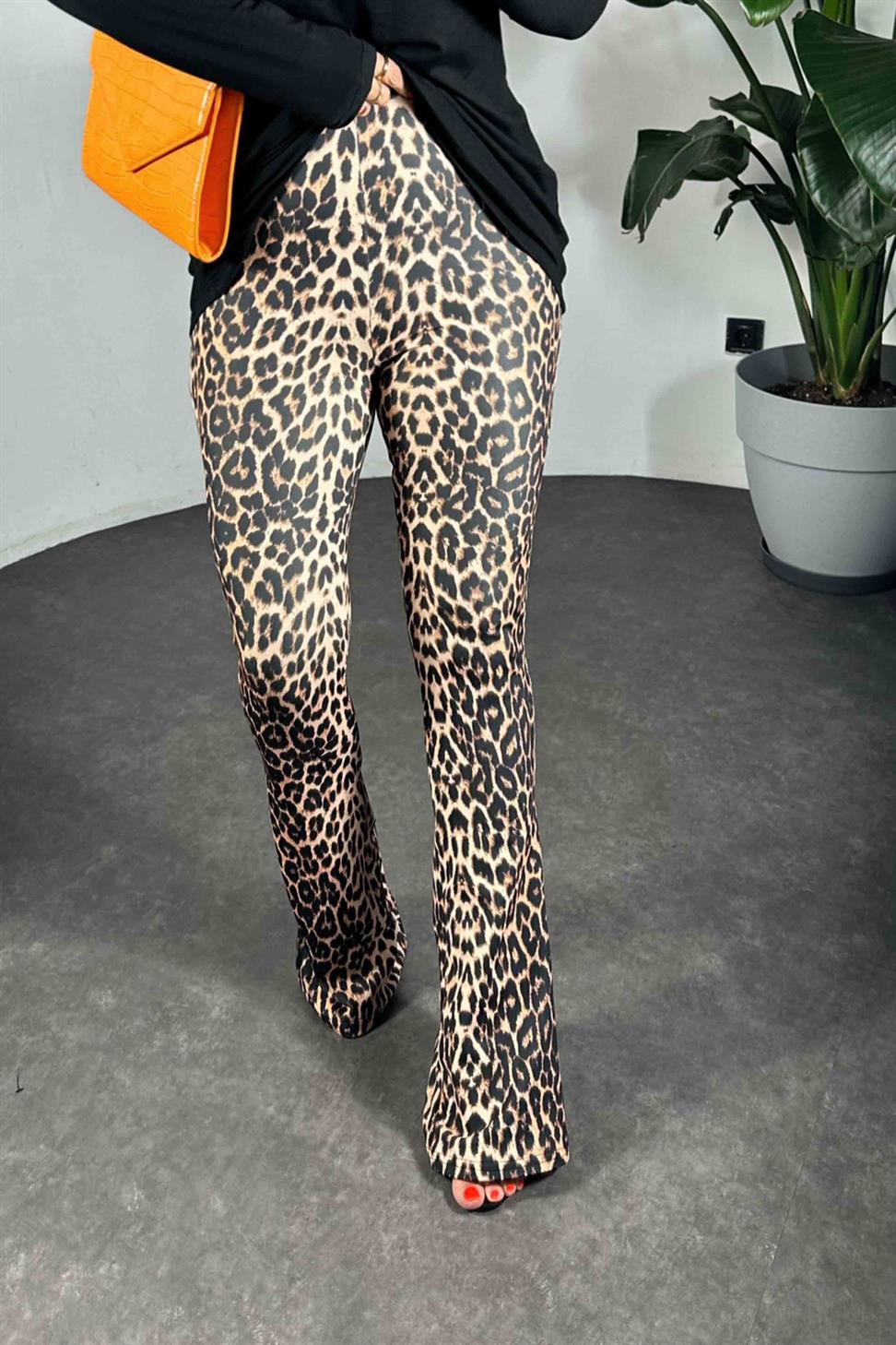 Beli Lastikli Leopar Desen İspanyol Paça Kadın Tayt Somon
