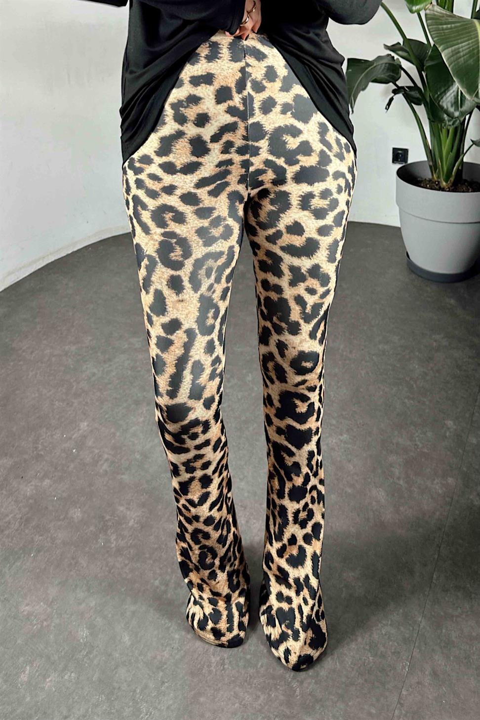 Beli Lastikli Leopar Desen İspanyol Paça Kadın Tayt Camel