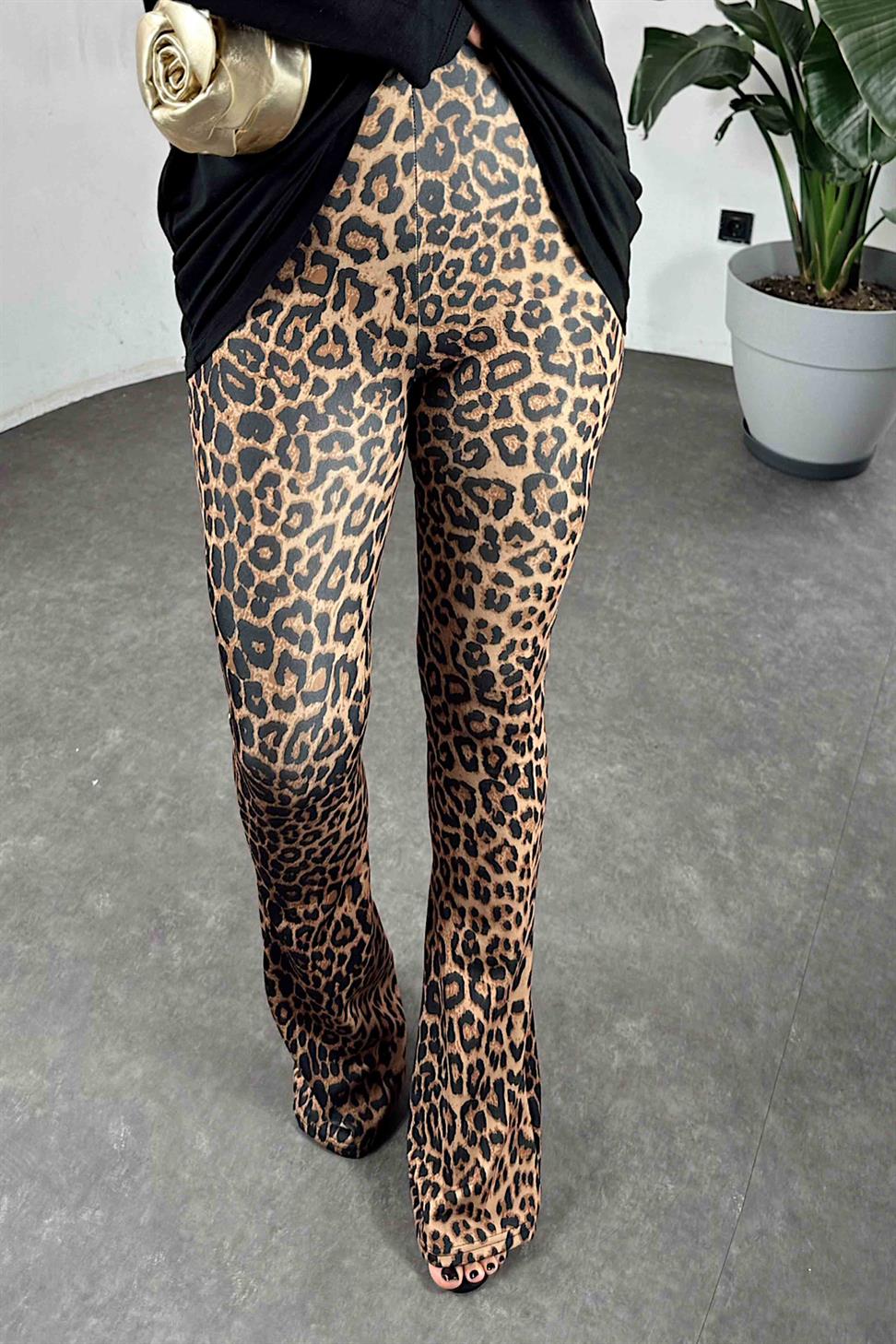 Beli Lastikli Leopar Desen İspanyol Paça Kadın Tayt Kahverengi