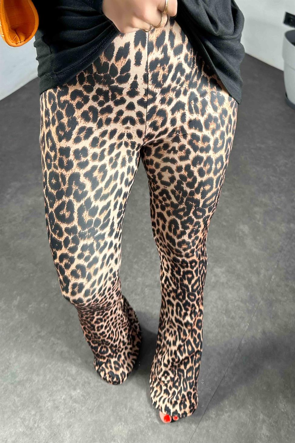 Beli Lastikli Leopar Desen İspanyol Paça Kadın Tayt Somon