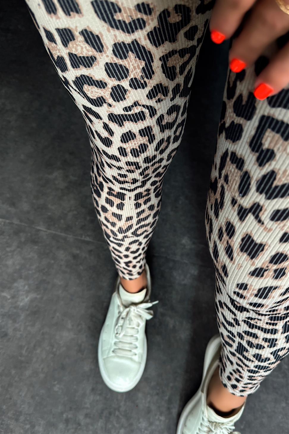 Geniş Kemer Leopar Desen Fitilli Kadın Tayt Ekru