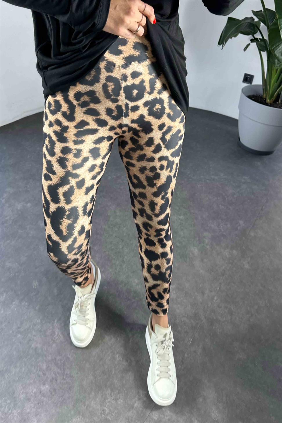 Geniş Kemer Leopar Desenli Kadın Tayt Camel