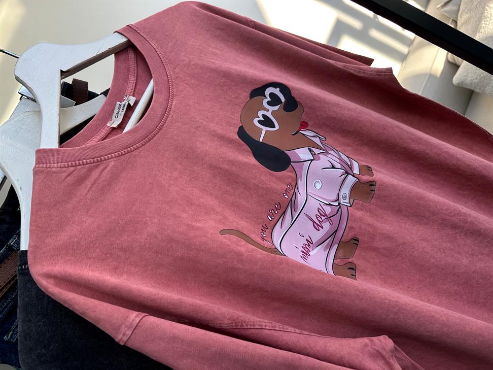 Taş Yıkamalı Mini Dog Baskılı Oversize Tişört Pudra Pembe