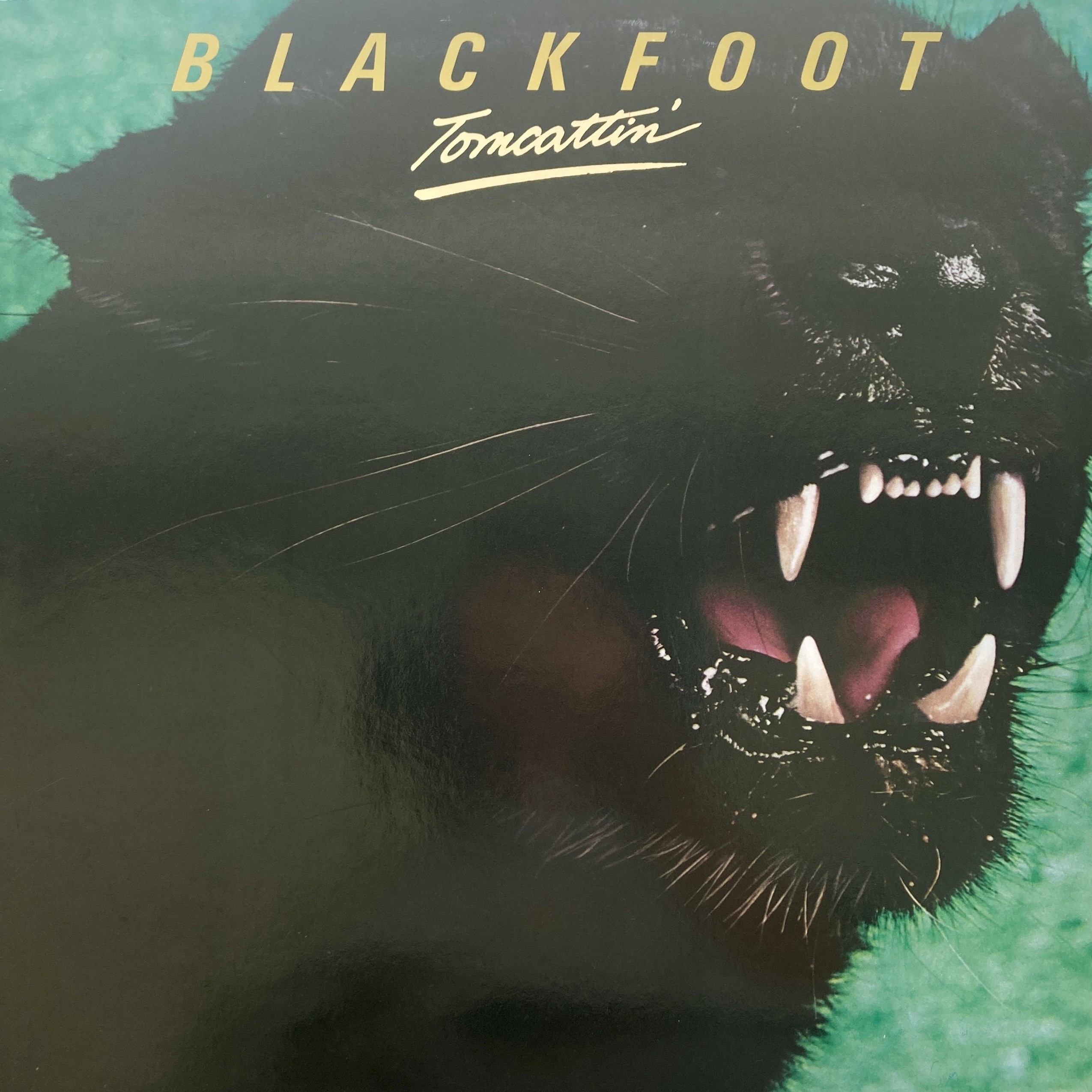 BLACKFOOT - TOMCATTIN'