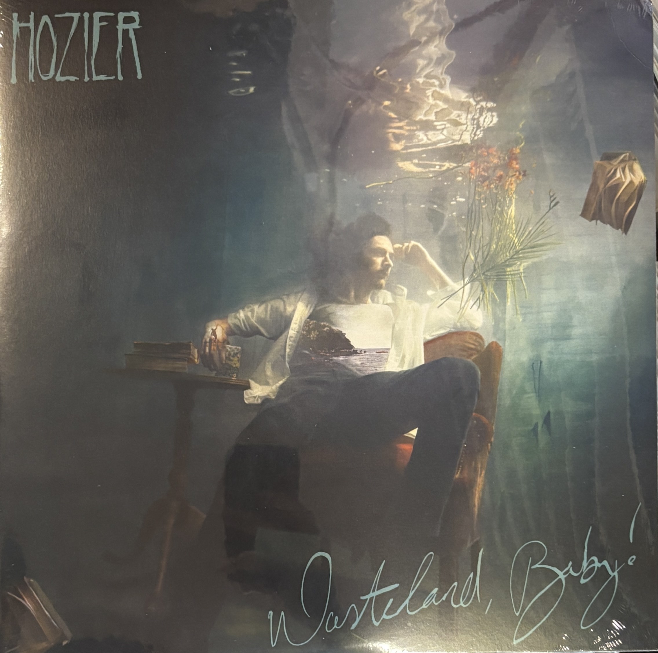 HOIZER - WASTELAND, BABY ! 