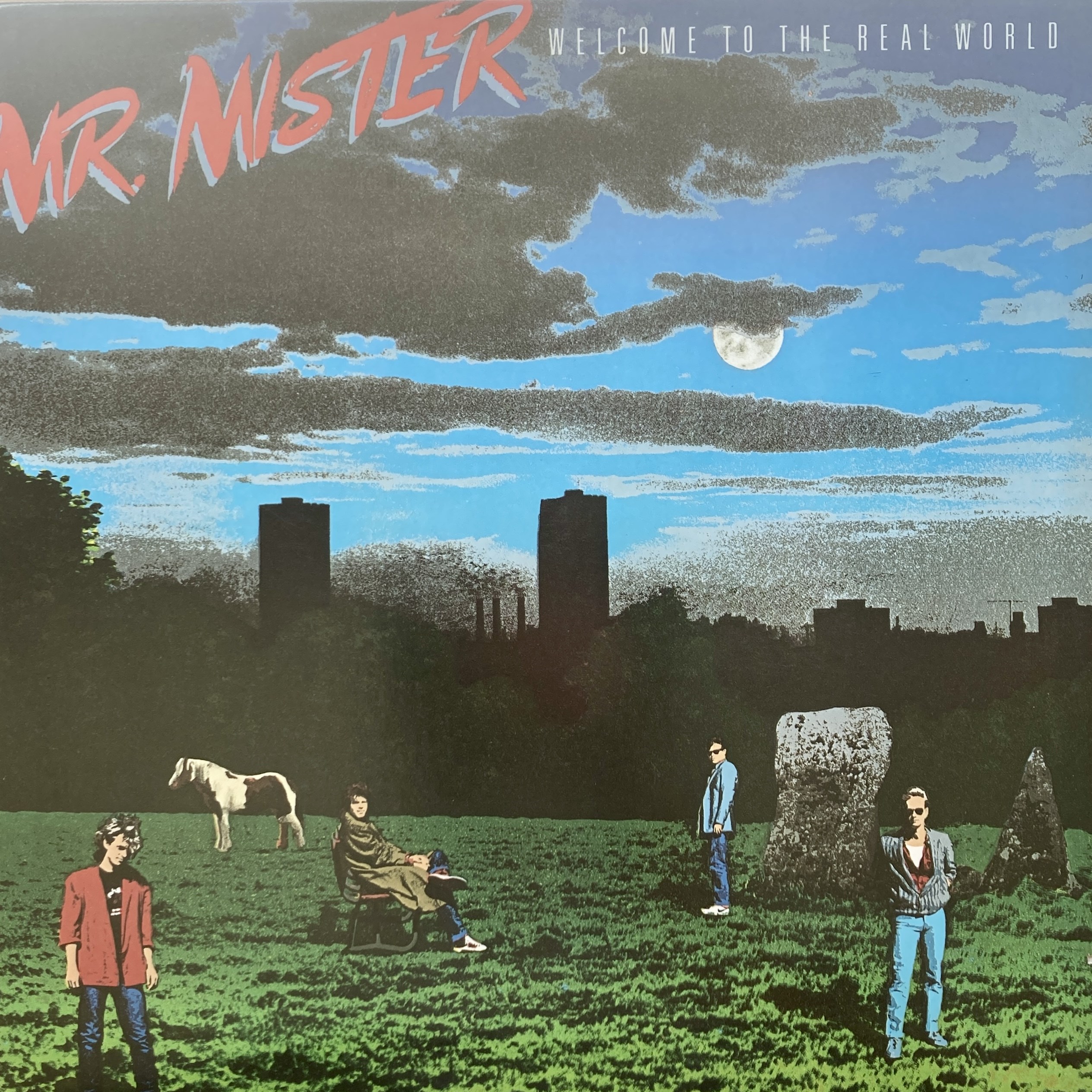 MR.MISTER - WELCOME TO THE REAL WORLD