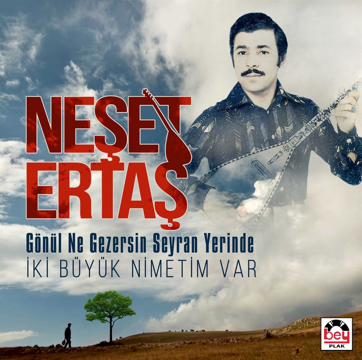 NEŞET ERTAŞ - GÖNÜL NE GEZERSİN SEYRAN YERİNDE / İKİ BÜYÜK NİMETİM VAR