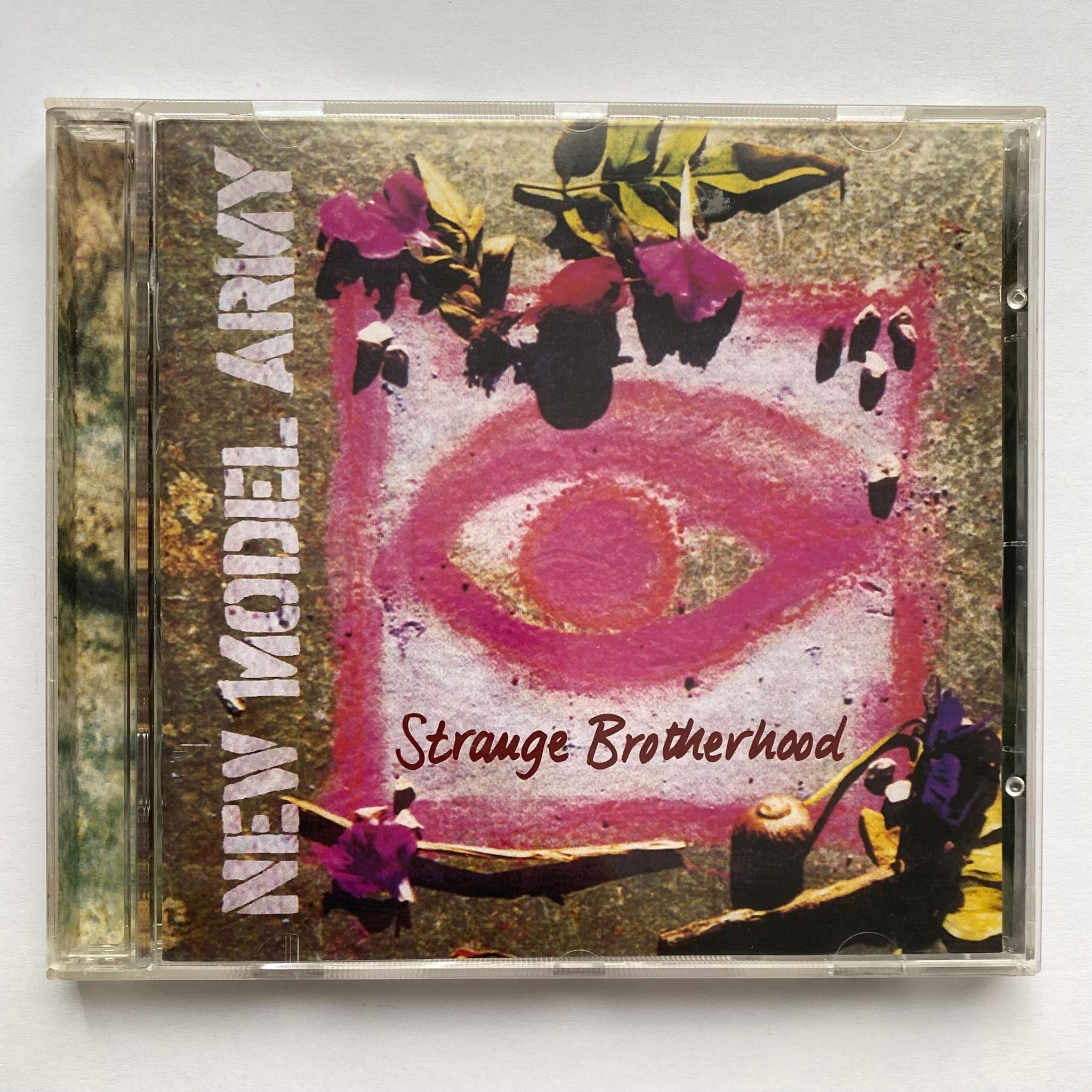 NEW MODEL ARMY - STRANGE BROTHERHOOD