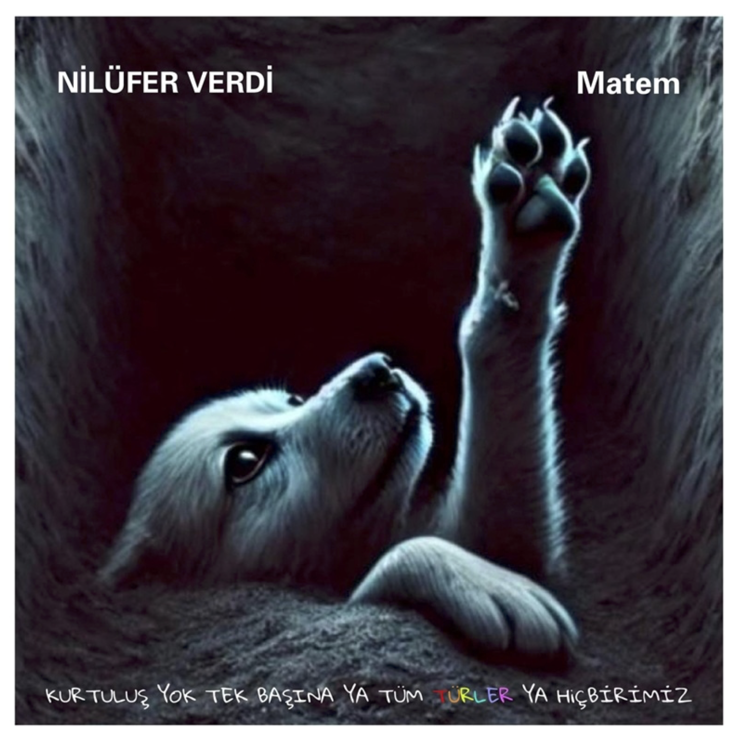NİLÜFER VERDİ - MATEM