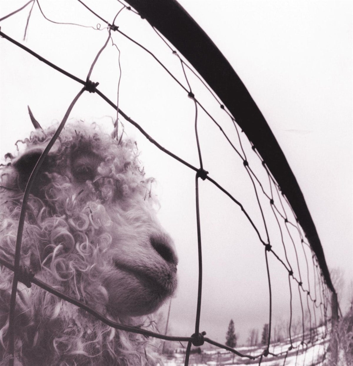 PEARL JAM - VS.