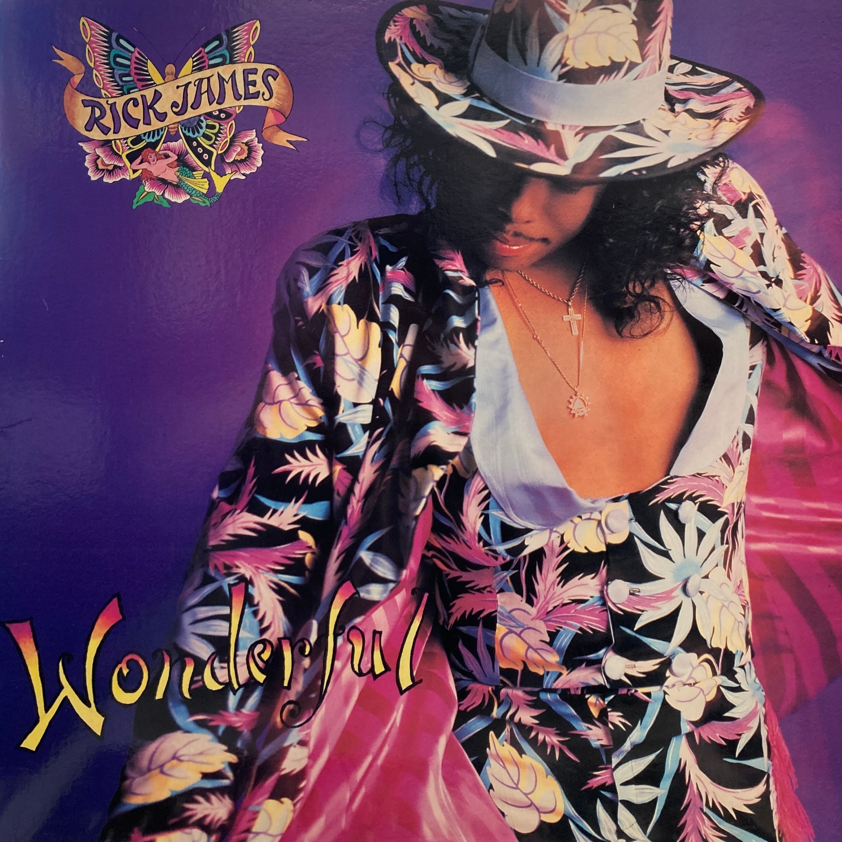 RICK JAMES – WONDERFUL
