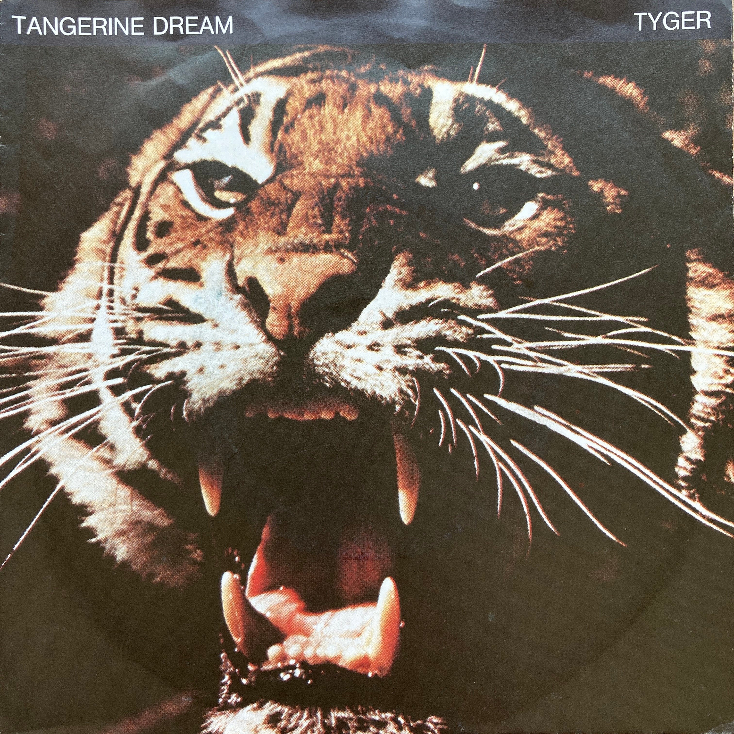 TANGERINE DREAM – TYGER