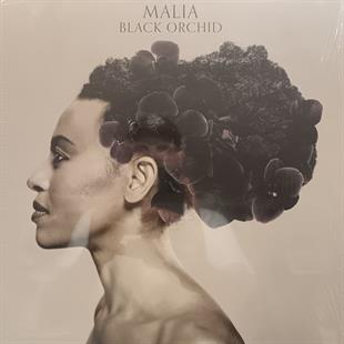 MALIA - BLACK ORCHID 