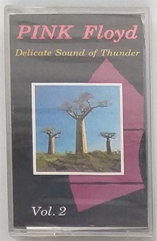 PINK FLOYD - DELICATE SOUND OF THUNDER VOL. 2