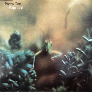 STEELY DAN - KATY LIED