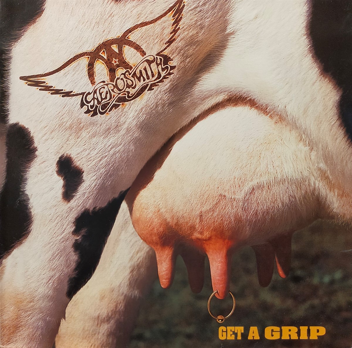 AEROSMITH - GET A GRIP 