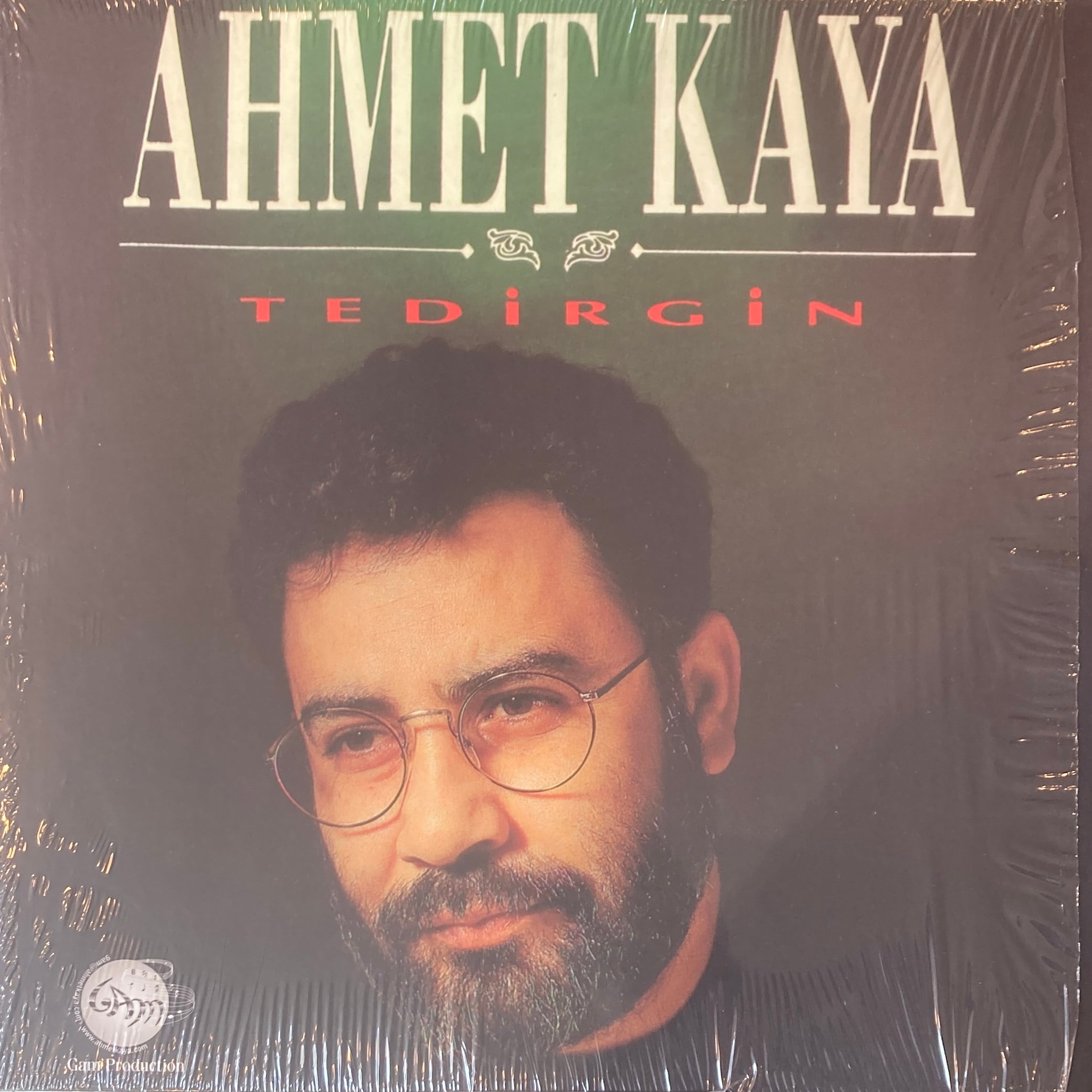 AHMET KAYA - TEDIRGIN