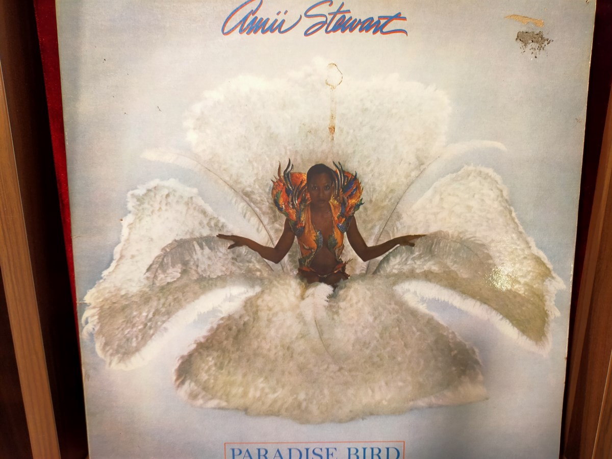 AMII STEWART - PARDISE BIRD 