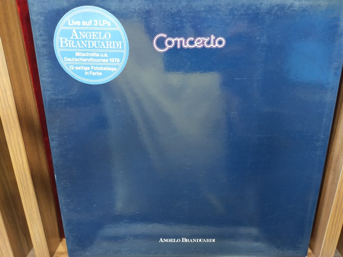 ANGELO BRANDUARDI - CONCERTO 