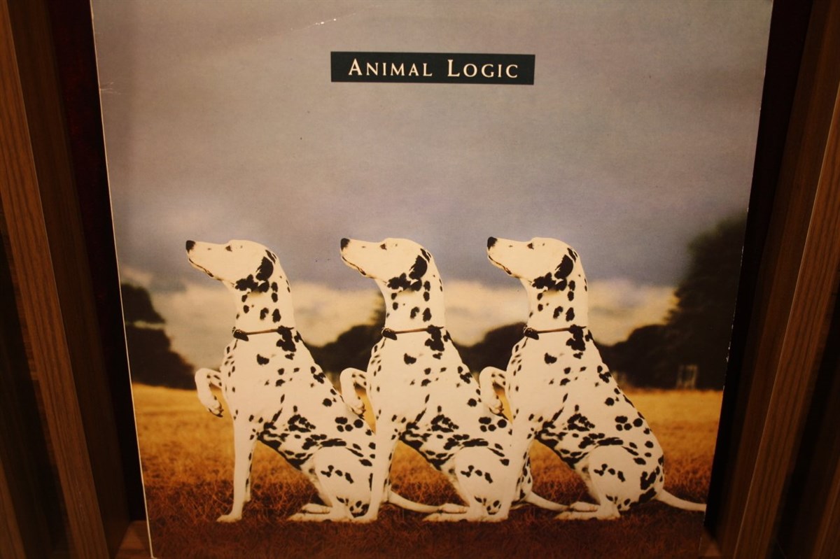 ANIMAL LOGIC - ANIMAL LOGIC