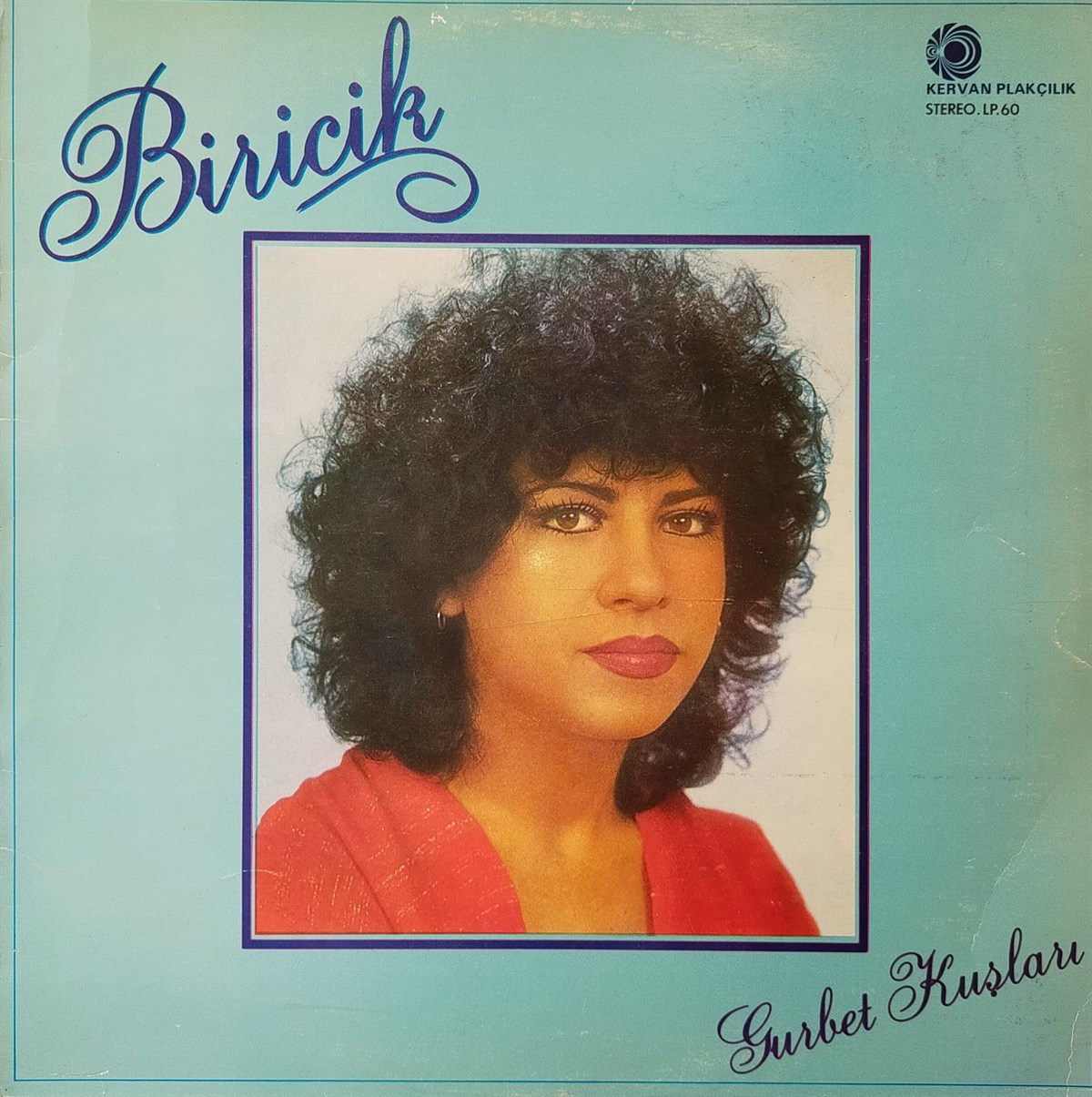 BİRİCİK - GURBET KUŞLARI 