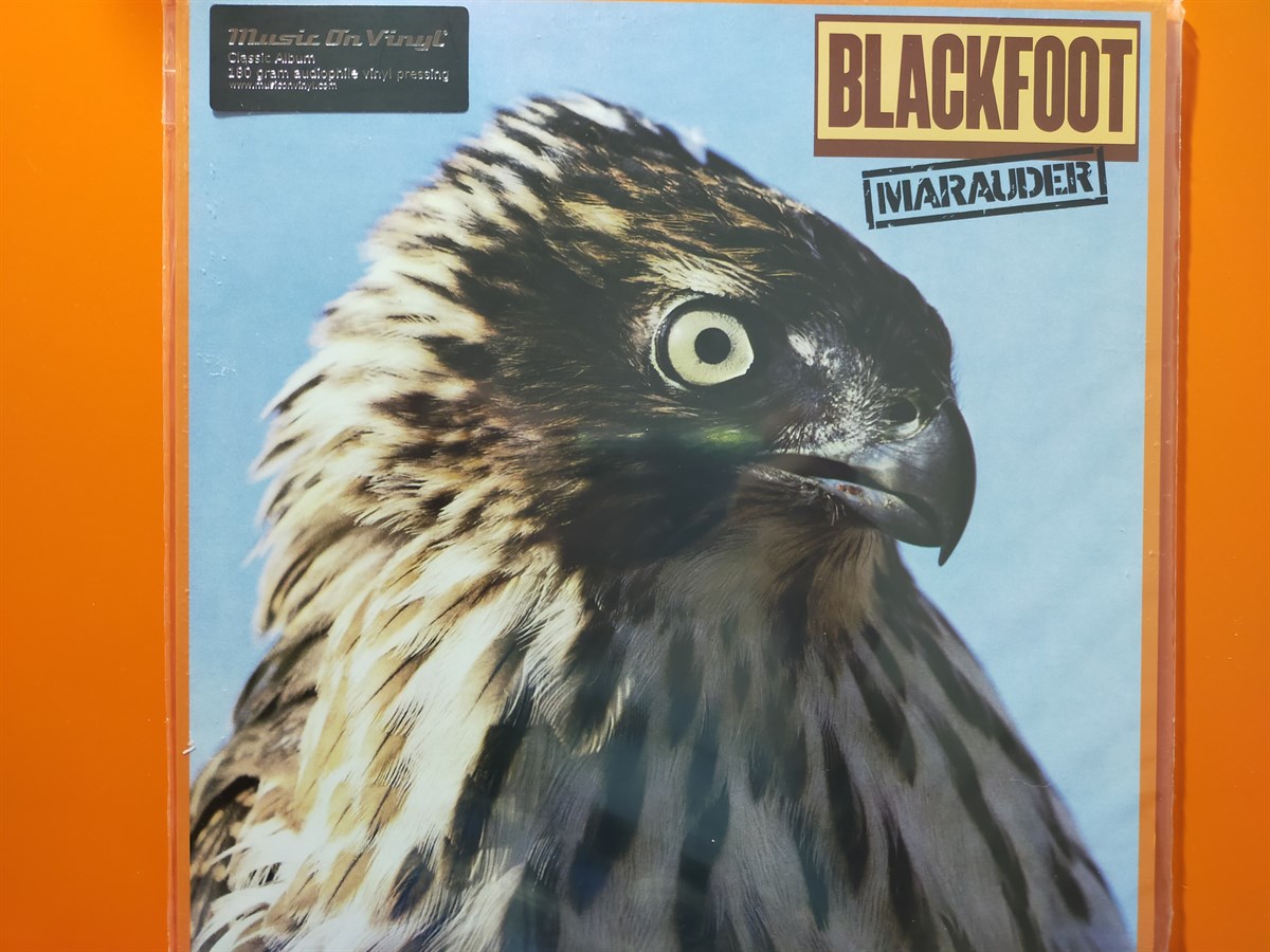 Blackfoot ‎– Marauder