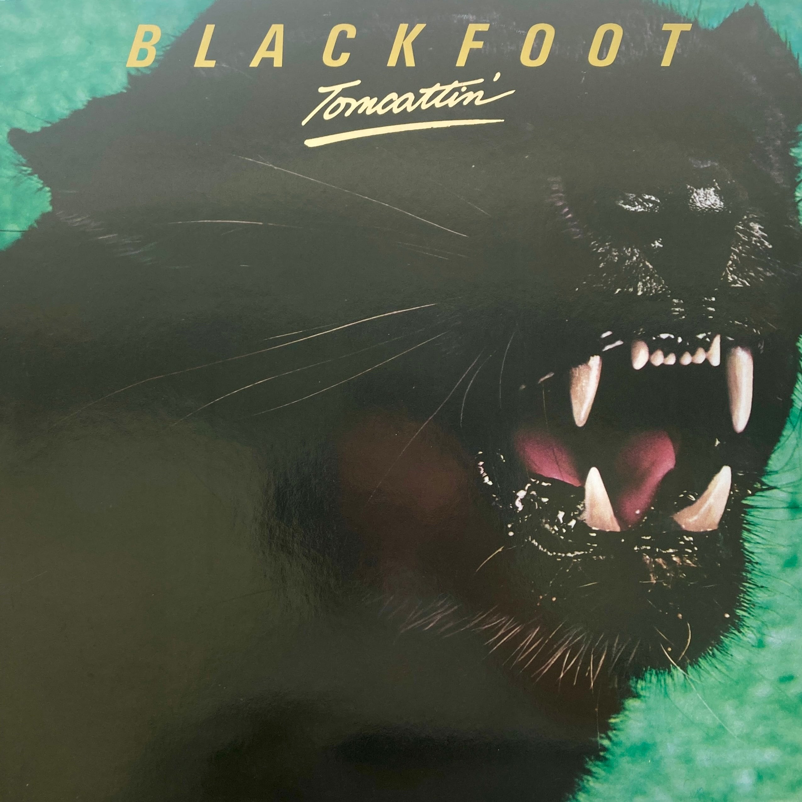 BLACKFOOT - TOMCATTIN'