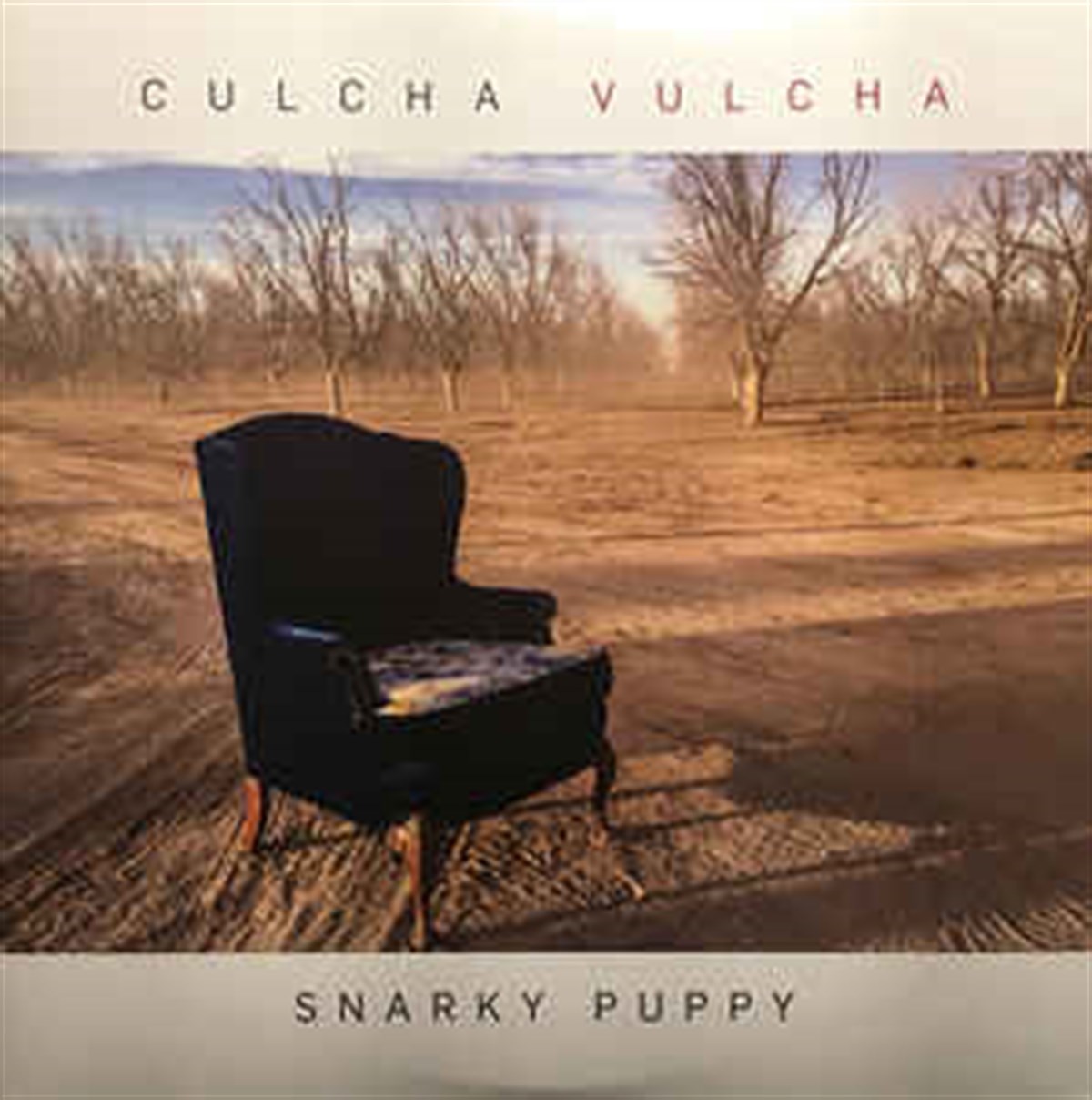 CULCHA VULCHA - SNARKY PUPPY (AMBALAJINDA)