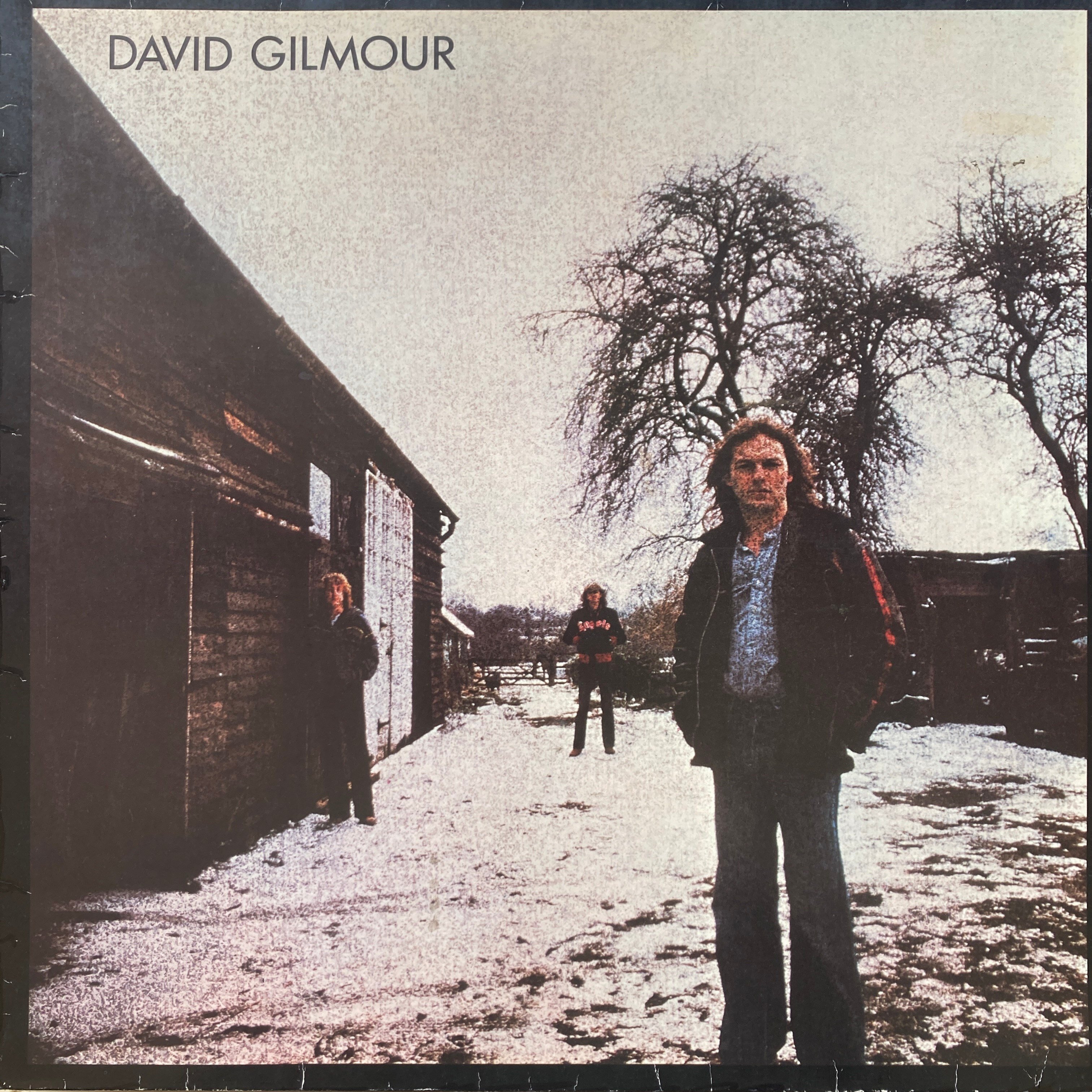 DAVID GILMOUR - DAVID GILMOUR 