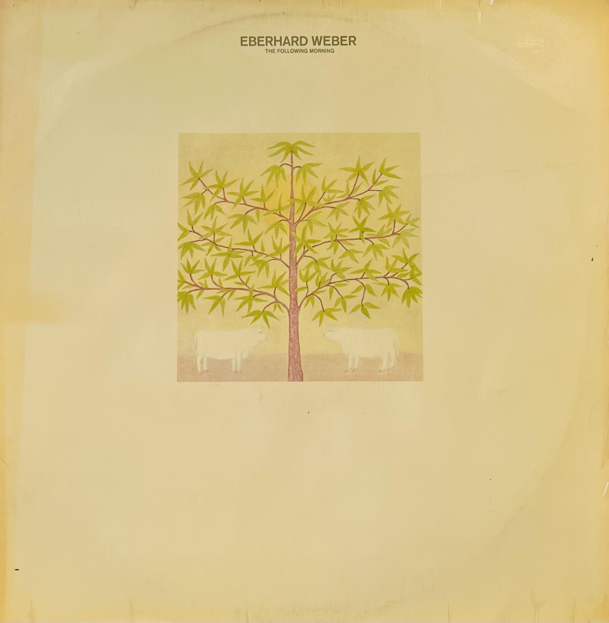 EBERHARD WEBER – THE FOLLOWING MORNING