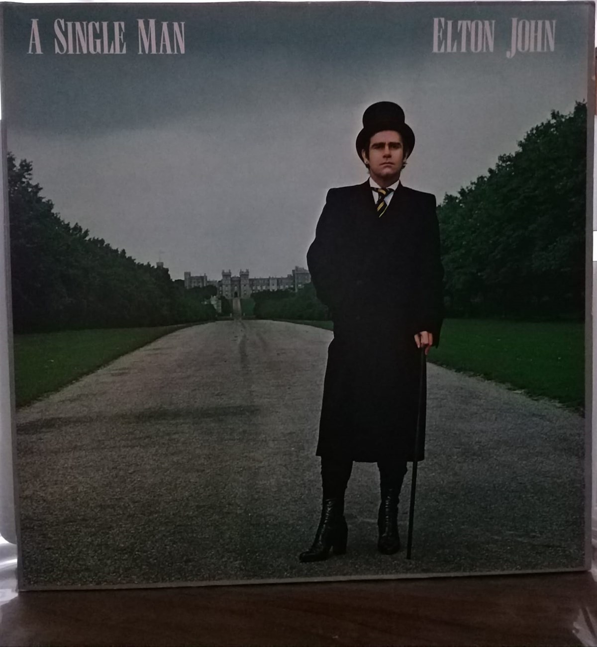 ELTON JOHN - A SINGLE MAN 