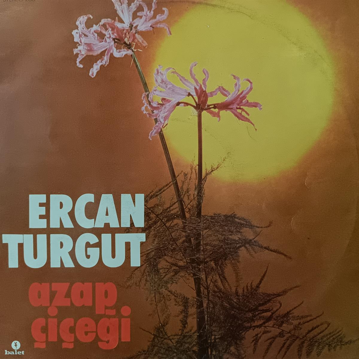 ERCAN TURGUT - AZAP ÇİÇEĞİ 