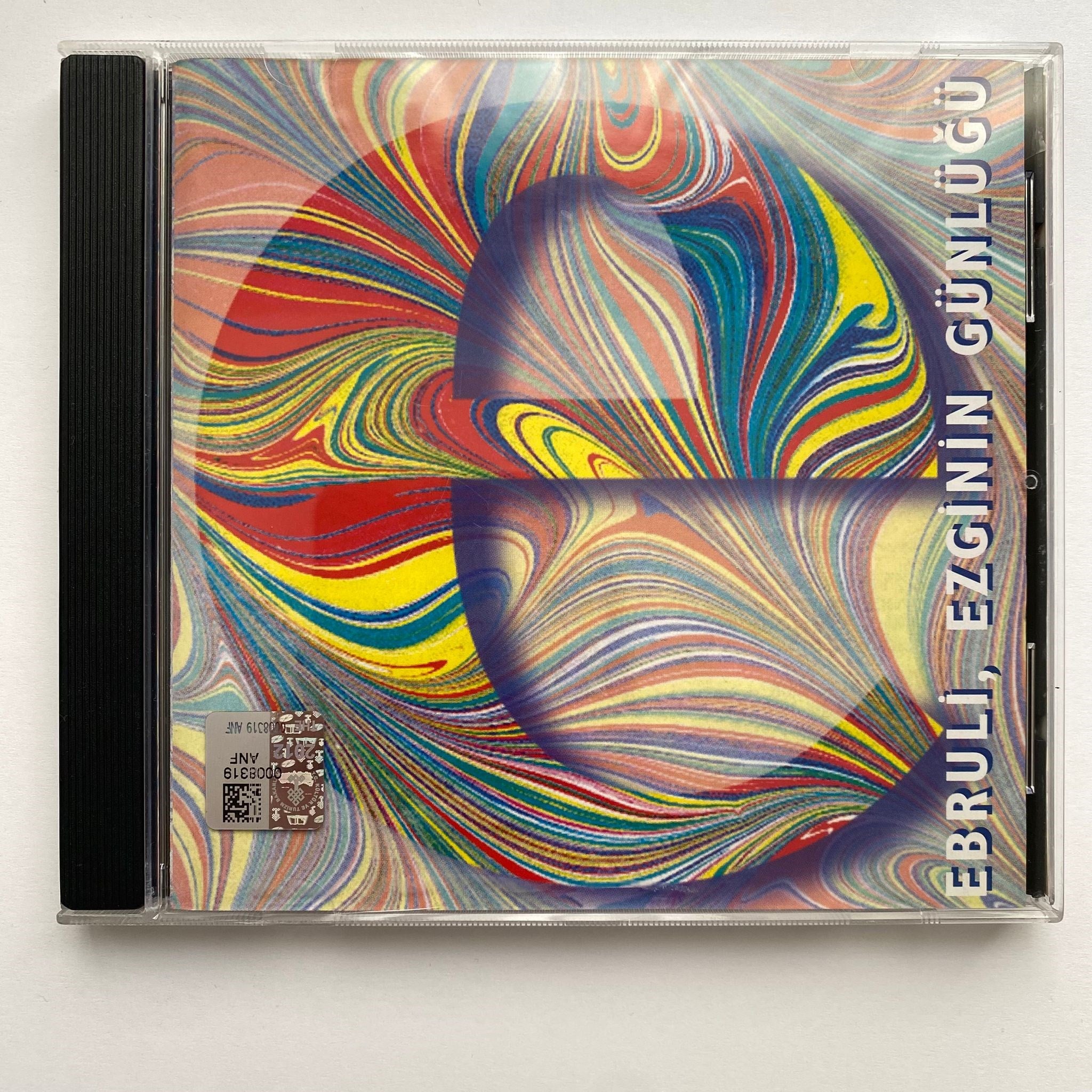 EZGİNİN GÜNLÜĞÜ - EBRULİ