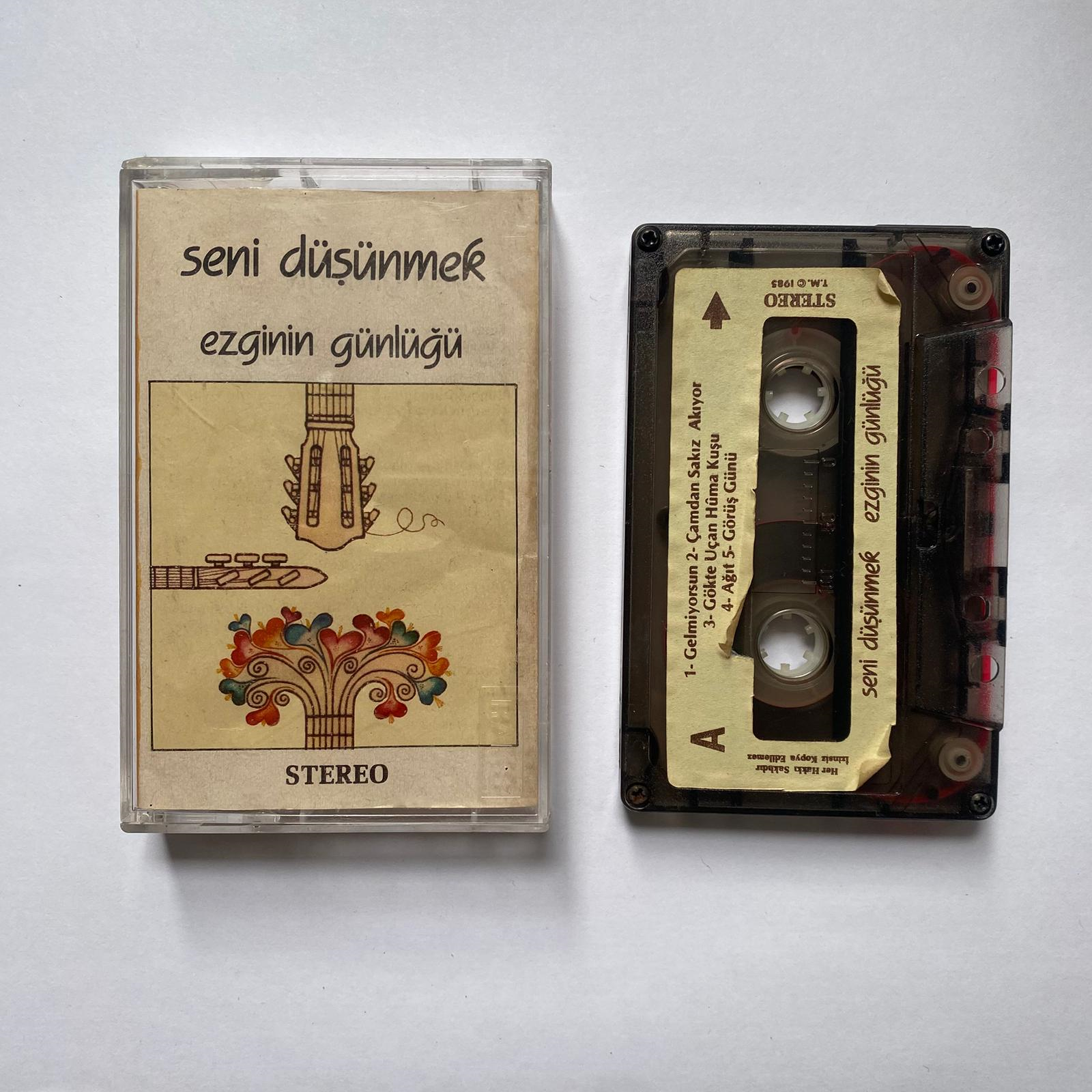 EZGİNİN GÜNLÜĞÜ - SENİ DÜŞÜNMEK