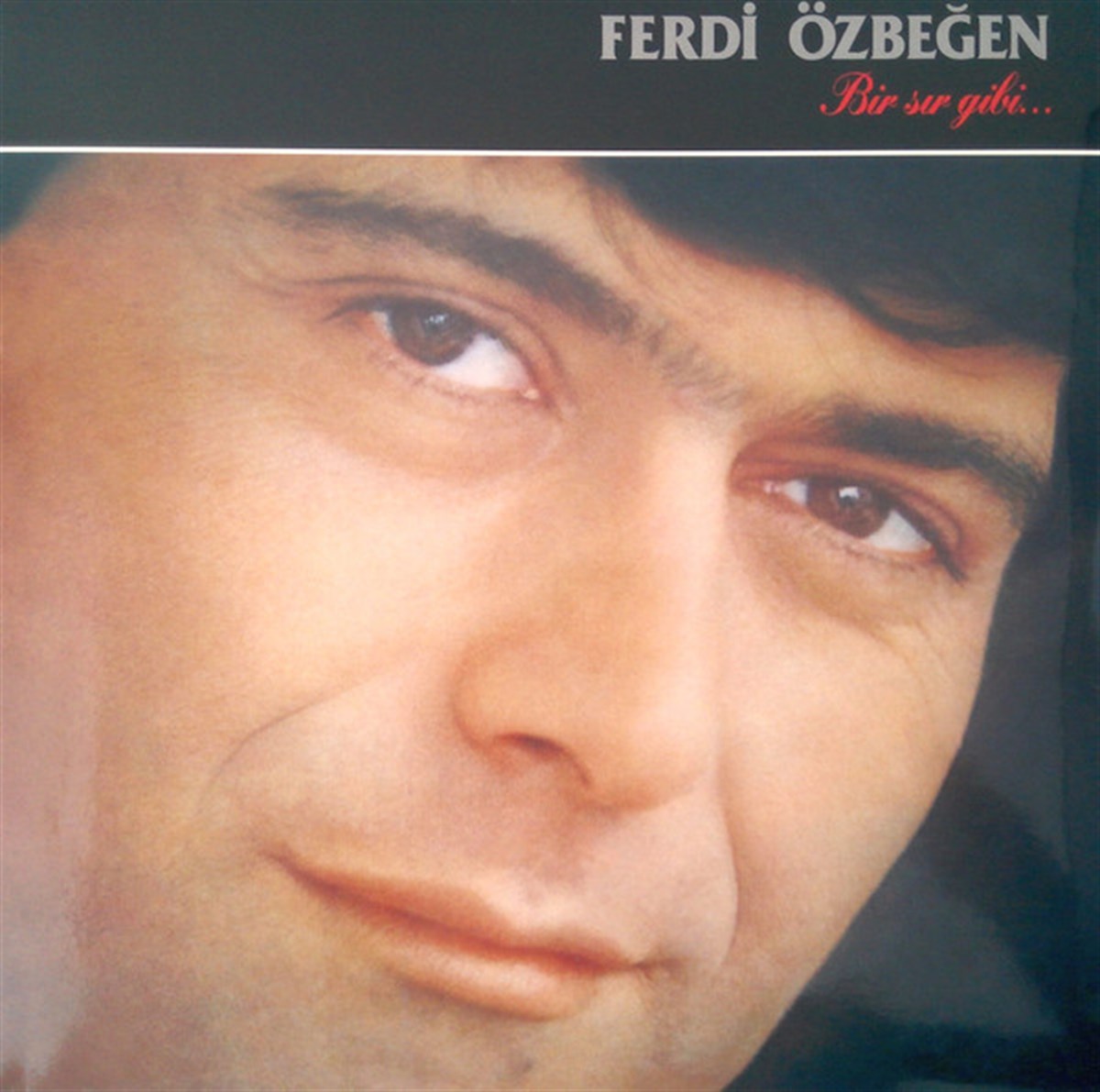 FERDİ ÖZBEĞEN - BİR SIR GİBİ