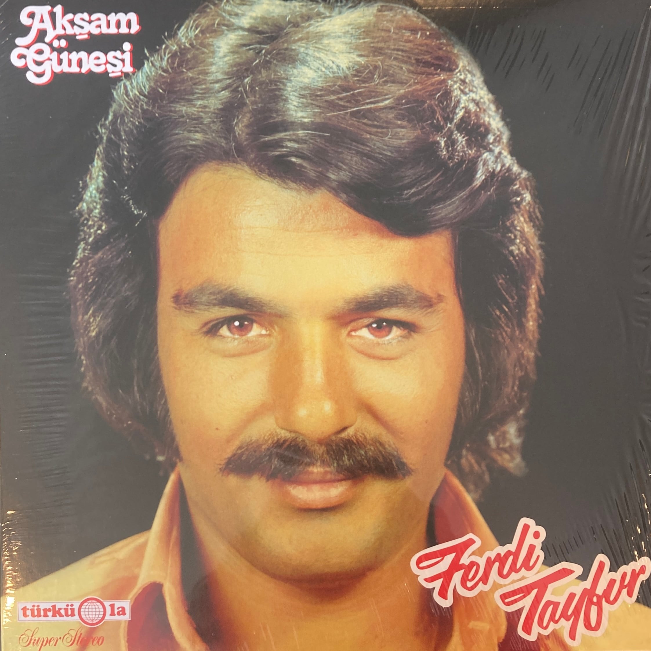 FERDI TAYFUR - AKSAM GUNESI