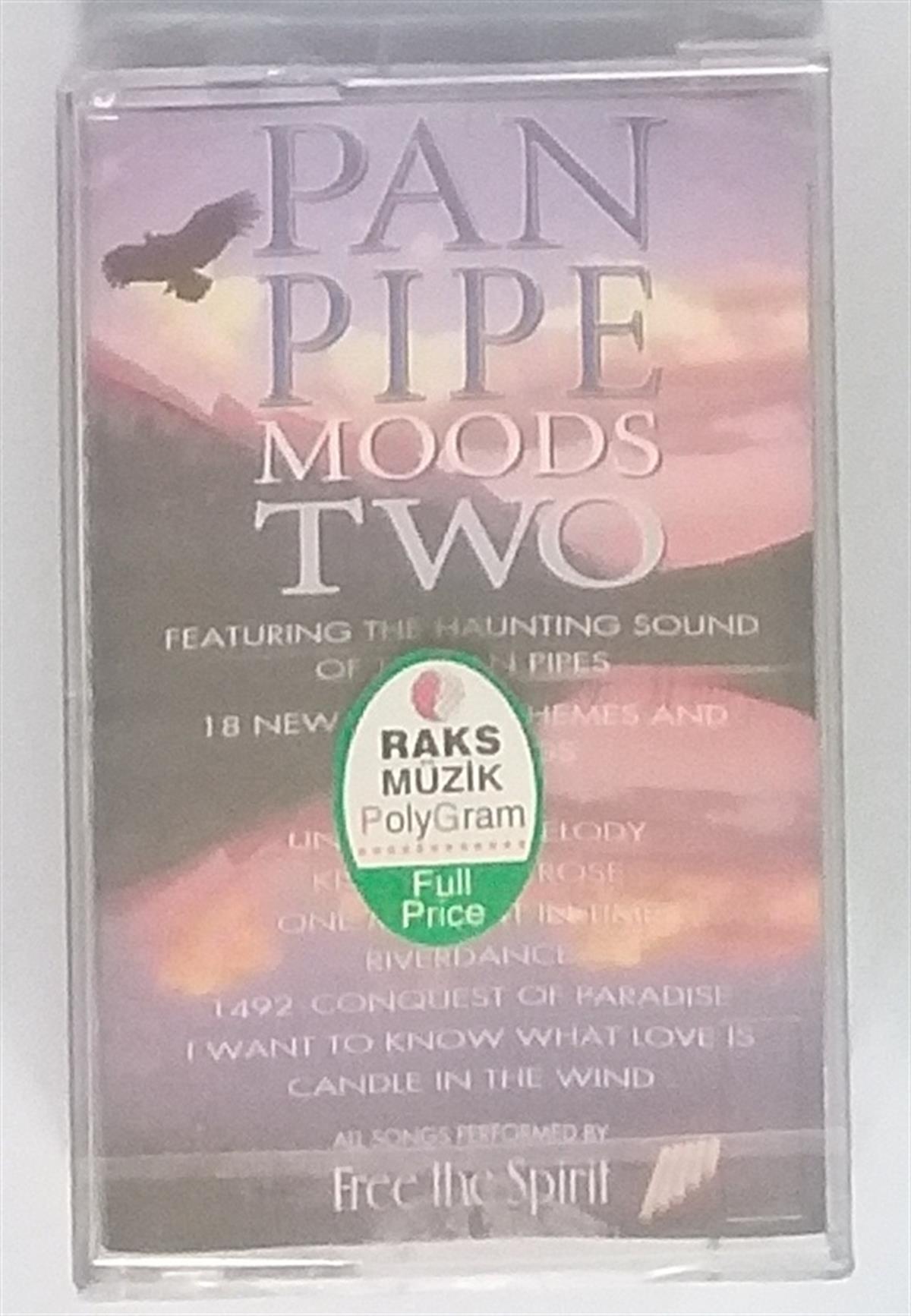 FREE THE SPIRIT PAN PIPE MOODS TWO